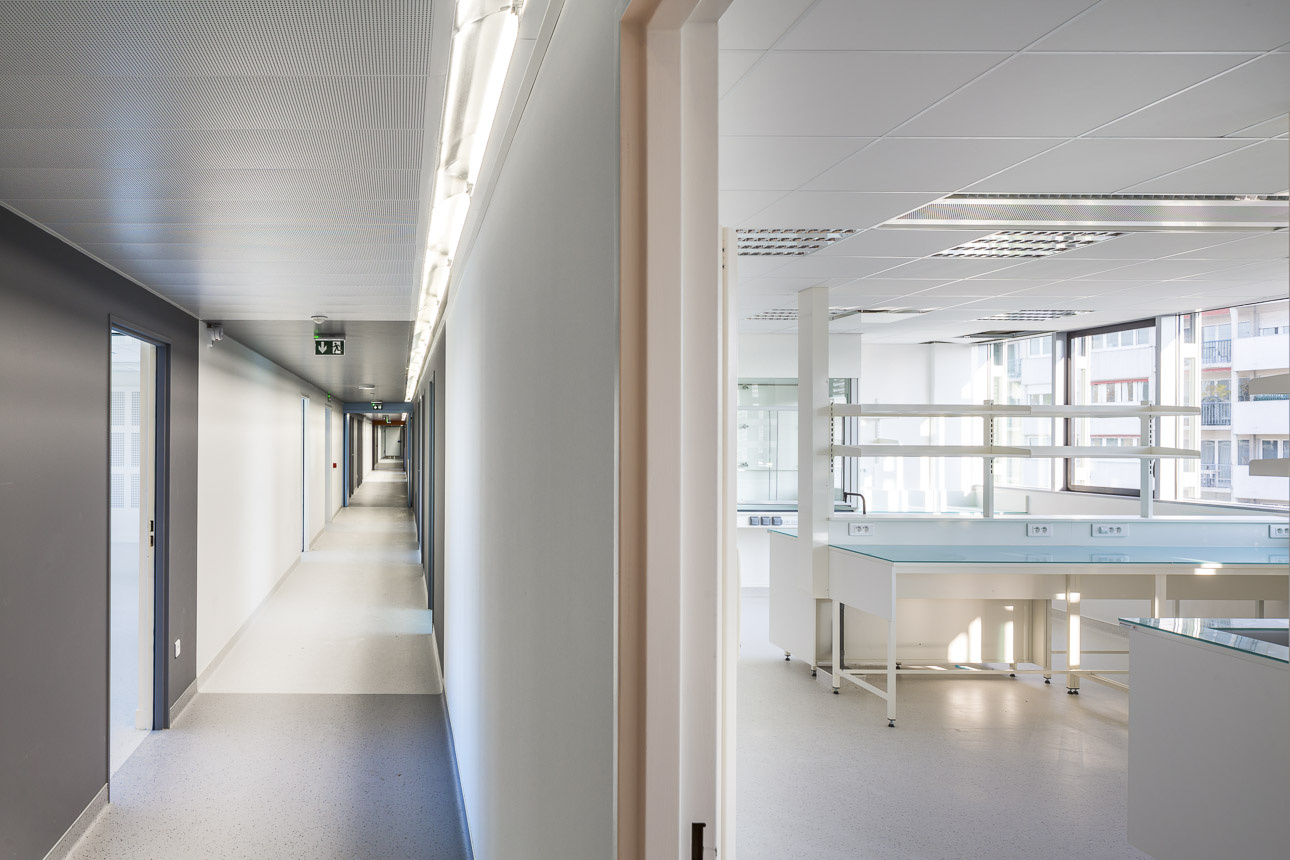 Michel Rémon & Associés Project Psychiatric and Neurosciences